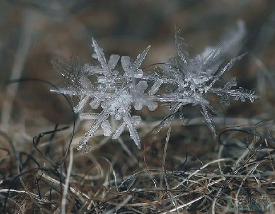 长白山雪